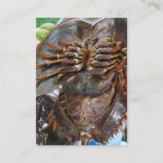 馬蹄蟹…タイアジア通り食品 名刺 (裏面)