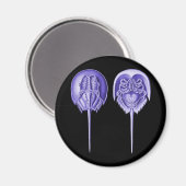 馬蹄蟹 マグネット (正面/裏面)