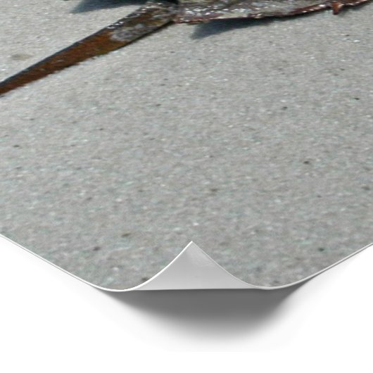 馬蹄蟹 – 男性 ポスター (角)