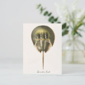 馬蹄蟹、節足動物、ジェイムズ・エルズワース・ド・ケイ ポストカード (スタンド正面)