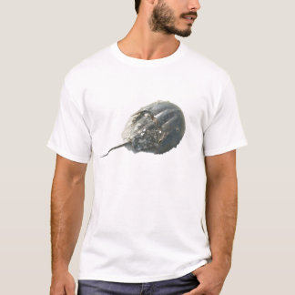 馬蹄蟹IBSP Tシャツ