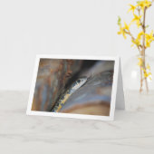 馬蹄鞭蛇 カード (黄色い花)