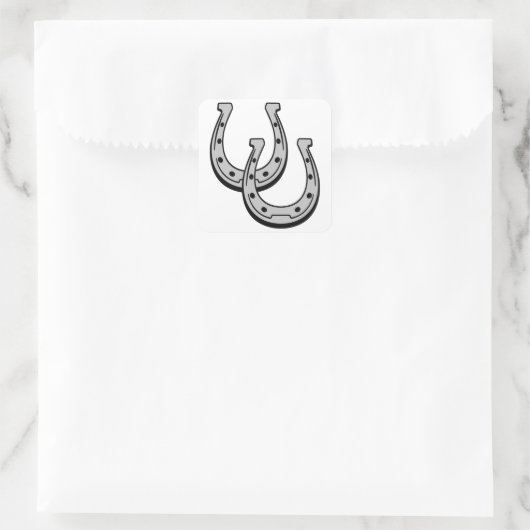 馬蹄類 スクエアシール (バッグ)