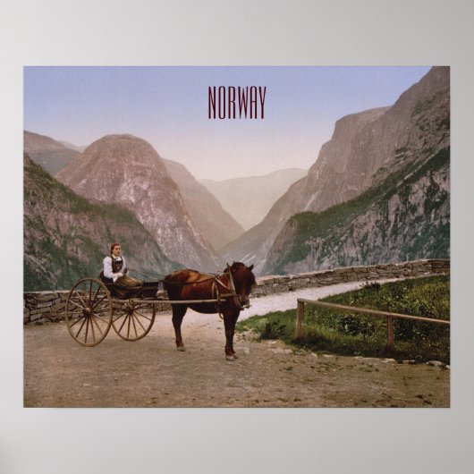 馬車に乗ったノルウェーの女描性 ポスター (正面)
