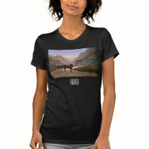 馬車に乗ったノルウェーの女描性