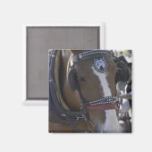 馬車馬 マグネット (正面/裏面)