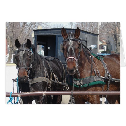 馬車駐車場 (正面横)