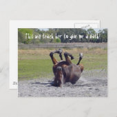 馬転が葉書 ポストカード (正面/裏面)