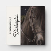 馬追悼ウマ科の記念写真 フォトプラーク (正面)