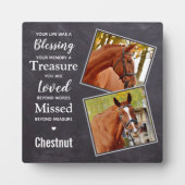 馬追悼記念撮影コラージュ フォトプラーク (正面)