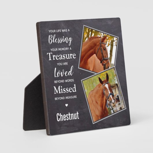 馬追悼記念撮影コラージュ フォトプラーク (正面)