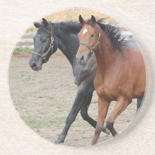 馬遊 コースター (正面)