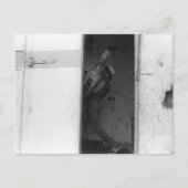 馬運の ポストカード (正面)