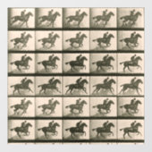 馬運動ヴィンテージ撮影 ウィンドウサイン (シート)