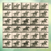 馬運動ヴィンテージ撮影 ウィンドウサイン (シート3)