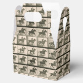 馬運動ヴィンテージ撮影 フェイバーボックス (オープン)