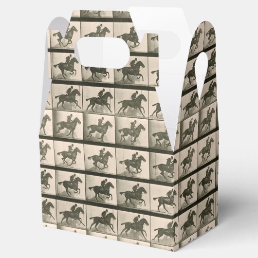 馬運動ヴィンテージ撮影 フェイバーボックス (オープン)