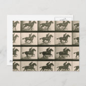 馬運動ヴィンテージ撮影 ポストカード (正面/裏面)