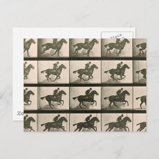馬運動ヴィンテージ撮影 ポストカード (正面/裏面)