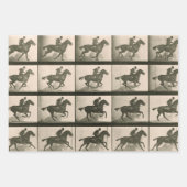 馬運動ヴィンテージ撮影 ラッピングペーパーシート (正面)