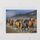 馬道はがき ポストカード (正面/裏面)