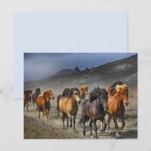 馬道はがき ポストカード (正面/裏面)