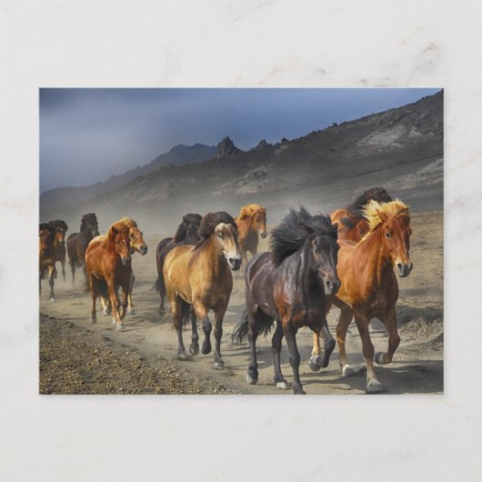 馬道はがき ポストカード (正面)