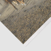 馬道ティッシュペーパー 薄葉紙 (詳細)