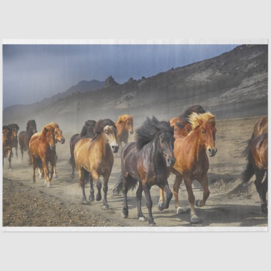 馬道ティッシュペーパー 薄葉紙 (正面)