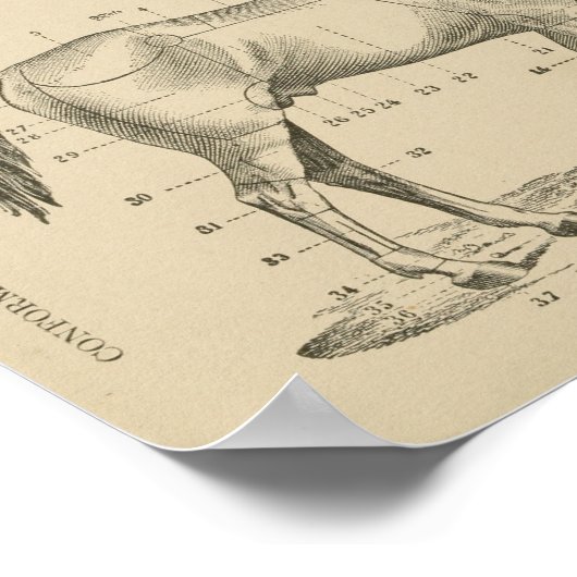 馬配座点 ポスター (角)