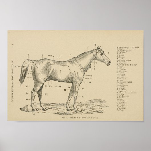 馬配座点 ポスター (正面)