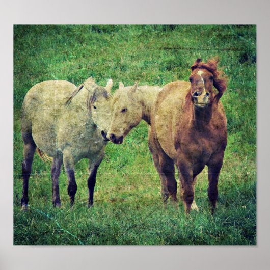 馬間抜け ポスター (正面)