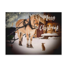 馬雪のメリークリスマス星空のナイトファーム