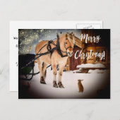 馬雪のメリークリスマス星空のナイトファーム シーズンポストカード (正面/裏面)