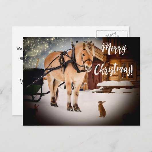 馬雪のメリークリスマス星空のナイトファーム シーズンポストカード (正面/裏面)