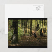 馬霊はがき ポストカード (正面/裏面)