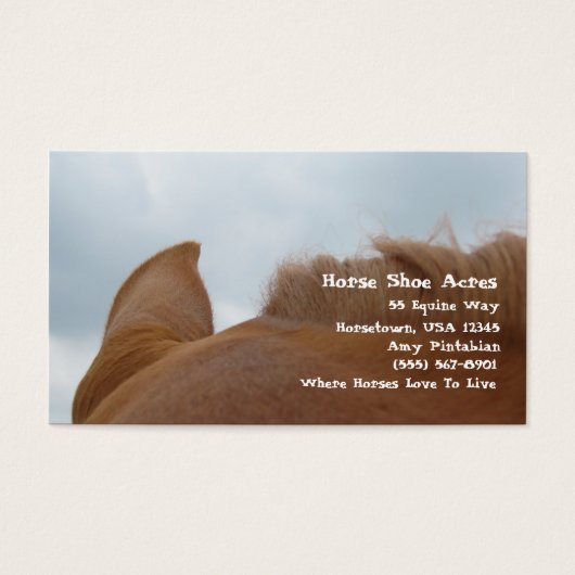 馬靴エイカーズソレルホース (正面)