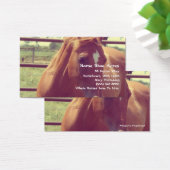 馬靴エイカーソフトフォーカスソレル (デスク)