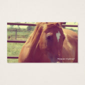 馬靴エイカーソフトフォーカスソレル (裏面)