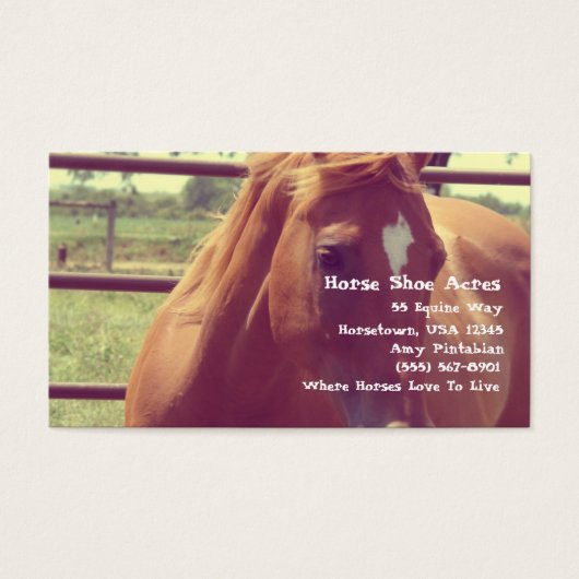 馬靴エイカーソフトフォーカスソレル (正面)