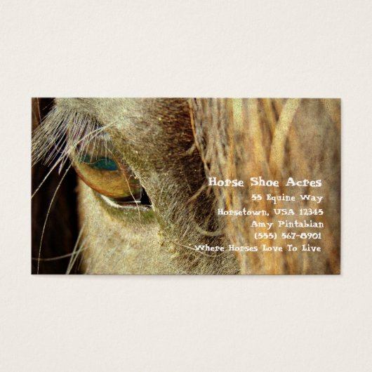 馬靴エーカー (正面)