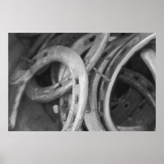 馬靴プリント ポスター (正面)