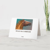 馬頭グリーティングカード シーズンカード (裏面)