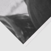 馬頭ティッシュペーパー 薄葉紙 (詳細)