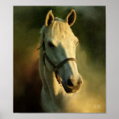 馬頭ポルトリア ポスター (正面)