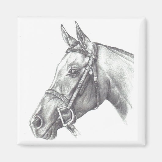 馬頭付き磁石 マグネット (正面)