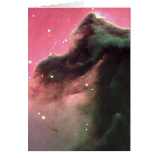 馬頭星雲バーナード33 NASA (正面)