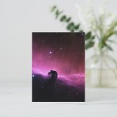 馬頭星雲バーナード33 NASA ポストカード (スタンド正面)