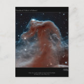 馬頭星雲 ポストカード (正面)