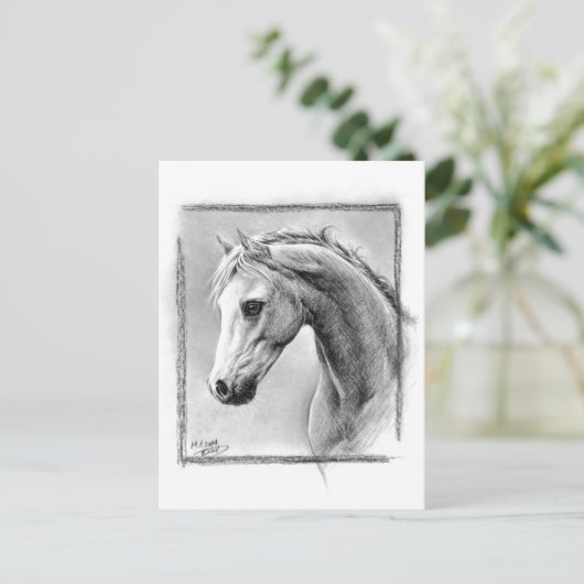 馬頭炭スケッチウマ科の芸術 ポストカード (スタンド正面)